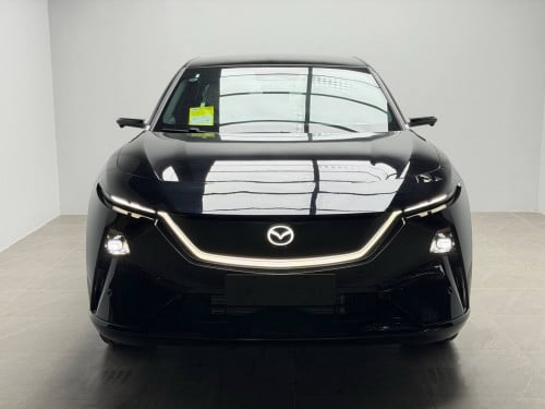 Model :Mazda EZ60 Max Options