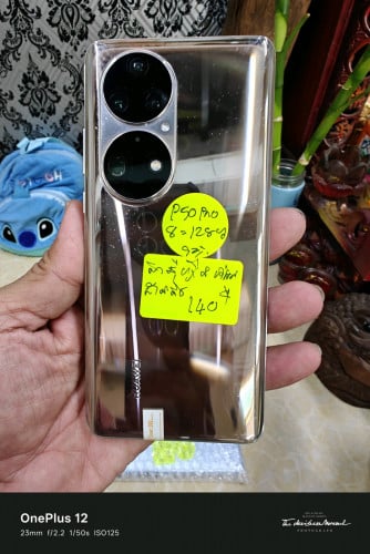 P50Pro 8g128gch