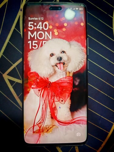 xiaomi 13 Lite 98% ក្រុមហ៊ុន