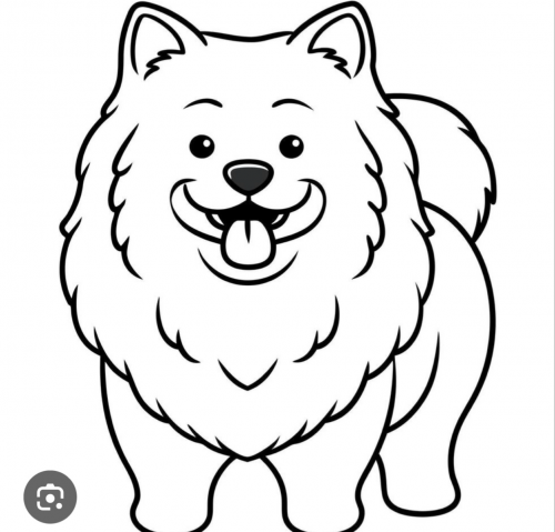 នាក់មេីលថែឆ្កែ