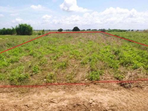 🏠 អចលនទ្រព្យ លក់ឡាយឡុង (Auctioned Properties) 🏷