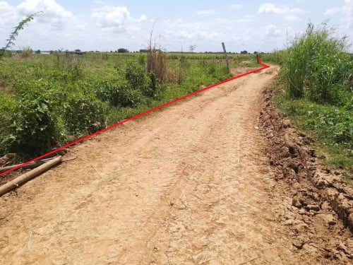 🏠 អចលនទ្រព្យ លក់ឡាយឡុង (Auctioned Properties) 🏷