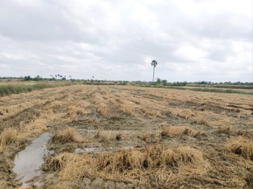 🏦Land for Urgent Sale (Negotiable), ABA Loan Available