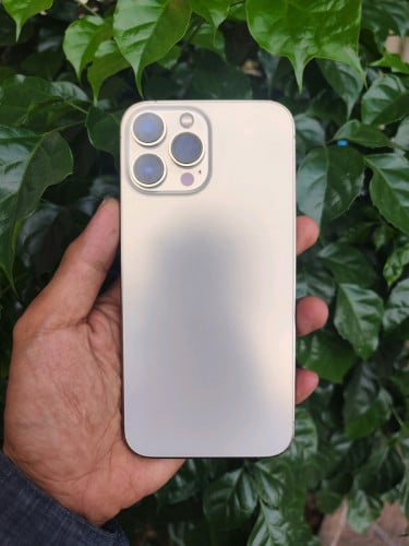 13PM​ 256G ណែន