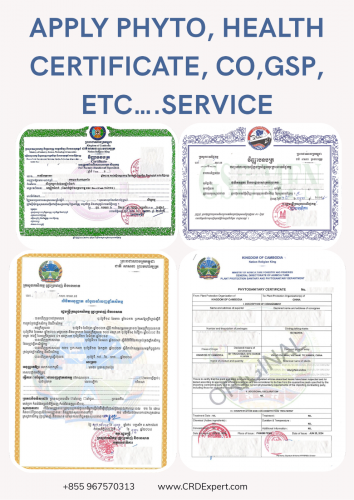 Apply Phyto, Health Certificate, CO, GSP etc….