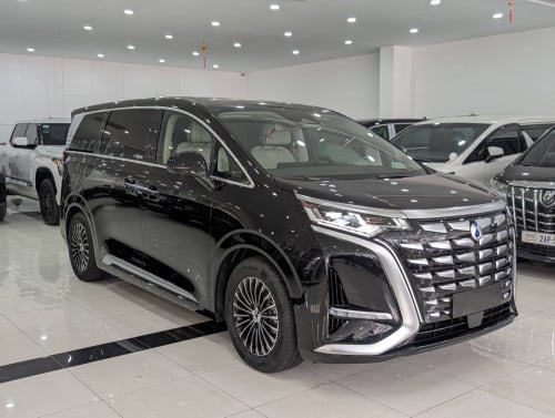 DENZA D9 2025 កៅអីVIP ដំបូលផ្កាយ plug in