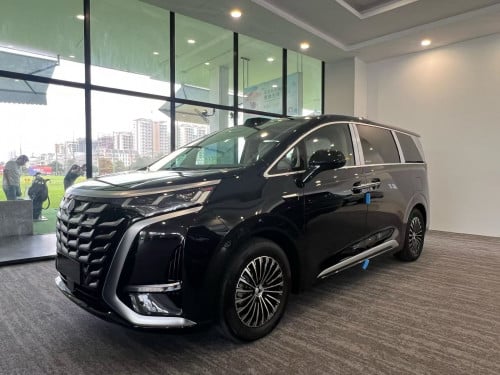 New 2025 DENZA D9 1020四驱 智驾