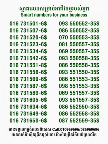 Smart លេខសម្រាប់អាជីវកម្ម