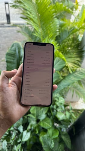 សាណុំហ្សីនទាំងអស់