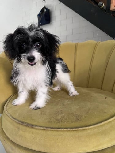 ភូដលកាត់