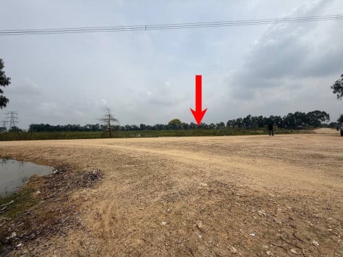 ដីលក់បន្ទាន់នៅបឹងតាមោក ប៉ែកក្រោយសាលាកូរ៉េ កប់ស្រូវ