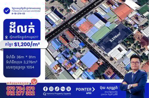 ដីលក់នៅជិតផ្លូវចំការដូង217