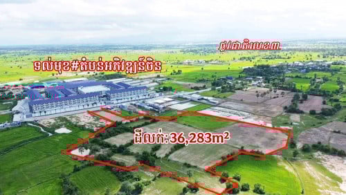 ដីនៅលើផ្លូវបេតុង30ម៉ែត្រទល់មុខតំបន់អភិវឌ្ឍន៍ចិន