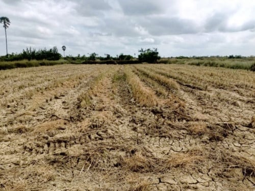 🏦Land for Urgent Sale (Negotiable), ABA Loan Available