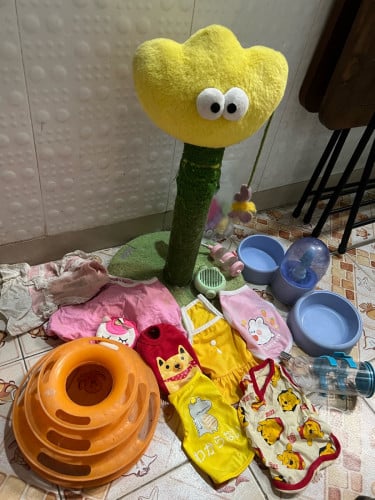 Cat  accessories sell all just 25$