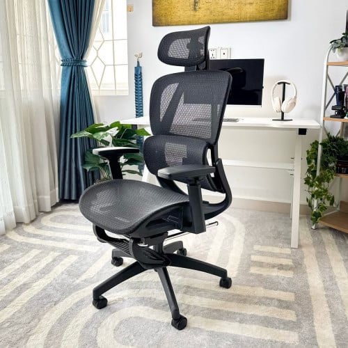 Ergonomic Chair