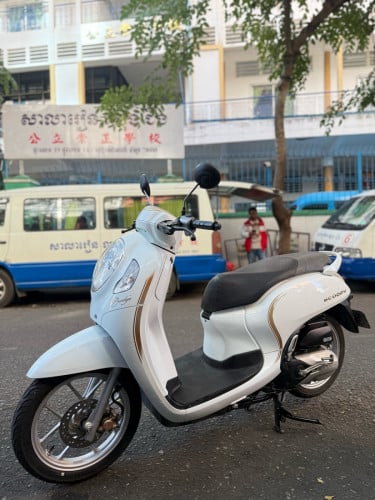 Honda Scoopy