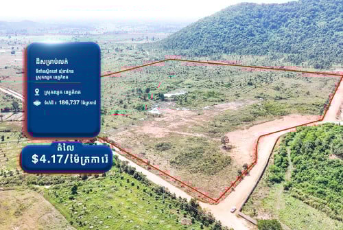 Massive Affordable Land Opportunity: 18+ Hectares Next to Mountain in Kampot