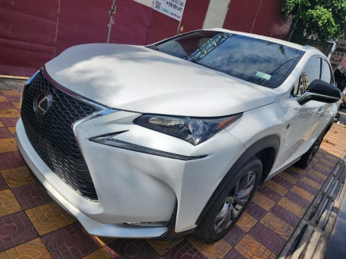 P1 F-Sport Year 2016 Tax paper