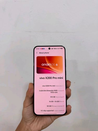 Vivo X200 Pro mini