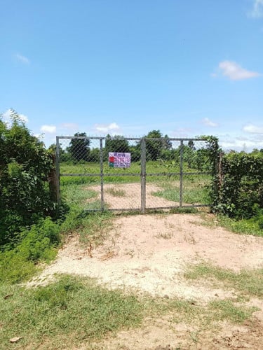 ដីចំការដាំដូង