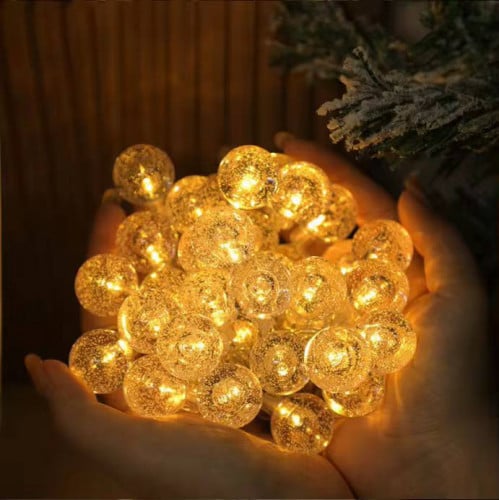 អំពូលខ្សែ ពងត្រី