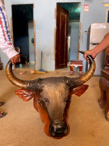 ស្នែងទន្សោង