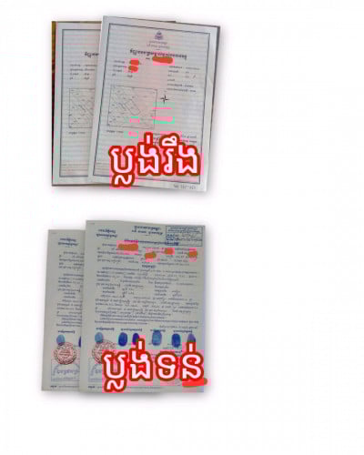 ទទួលបញ្ជាំ ប្លង់រឹង ប្លង់ទន់ គ្រប់ទំហំ: 096 236 9978/ 097 956 8399