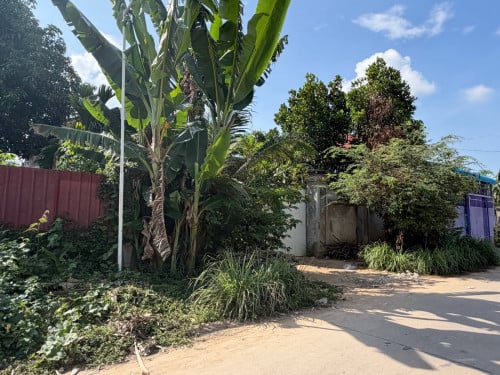 ដីលក់ស្វាយជ្រំ ទំហំ: 11.5m x 26m