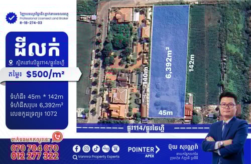 ដីលក់នៅលើផ្លូវ124/ផ្លូវថៃហ្គឺ