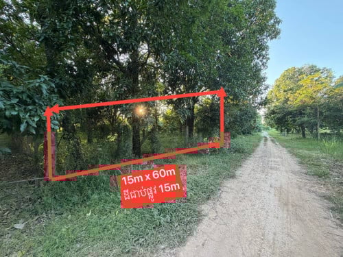 ដីចំការលក់ក្រុងអរិយក្សត្រ 15m x 60m