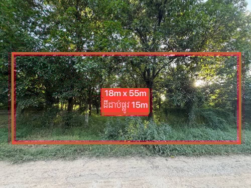 ដីចំការលក់ម្ចាស់ផ្ទាល់ 18m x 55m