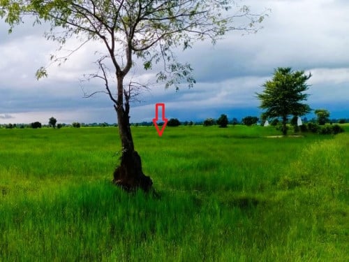 🏦Land for Urgent Sale (Negotiable), ABA Loan Available.