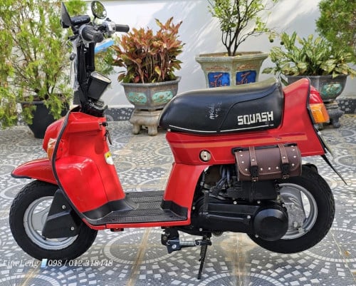 ម៉ូតូជប៉ុនសុទ្ធ💯Honda Squash🎌Mini កម្លាំង 50cc មានដេ ម៉ូតូ១ទឹកជប៉ុន🎌សំណុំហ្សុីន💯