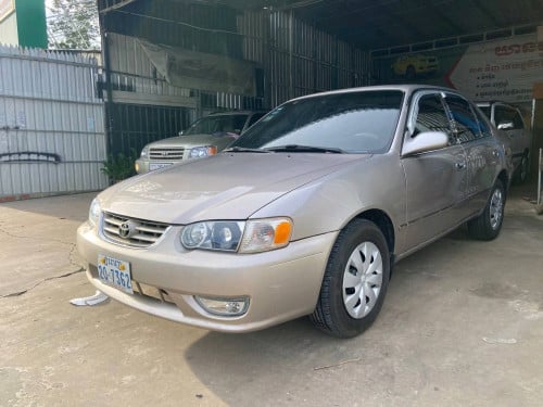 Corolla 01 ថ្មីណាស់បងបង