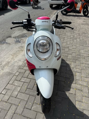 Honda scooyi