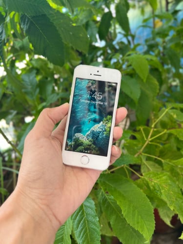 iPhone 5S 16G Scan