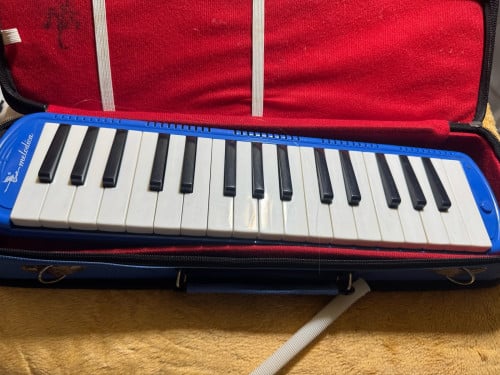 ព្យារីការ