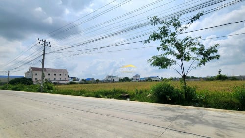 ដីលក់បន្ទាន់នៅជិតផ្សារព្រែកជ្រៃ-កួរស្រូវ