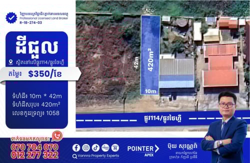 ដីជួលនៅលើផ្លូវ114