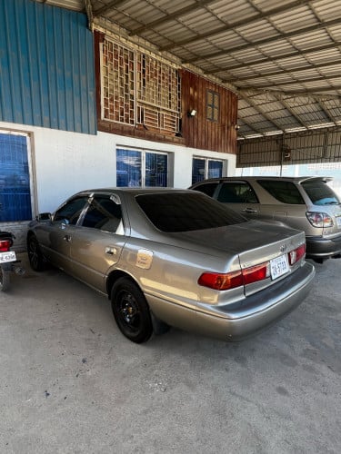 ឆ្លាម ឆ្នាំ 1997 ពណ៌ឆ្លូញ