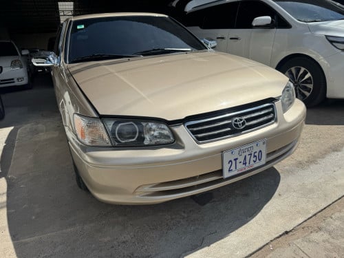 ឆ្លាម 2000 ទឹក​មាស​សំនុំ​ហ្សុីន តំលៃ​$6800 ចរចា​