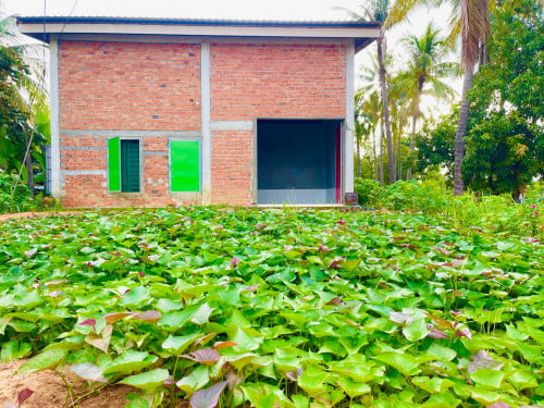 ដី$39និងផ្ទះជួល$150ផ្លូវជាតិ6A km146ទំហំ12mx85m