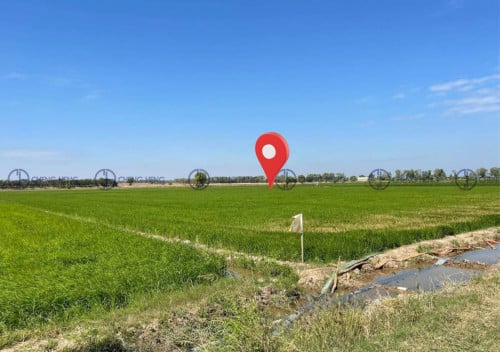 ដីលក់បន្ទាន់ នៅកៀនស្វាយ -S343