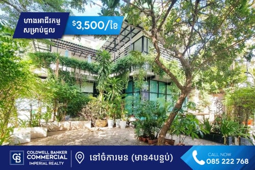 🏡 ហាងអាជីវកម្ម សម្រាប់ជួល នៅចំការមន
