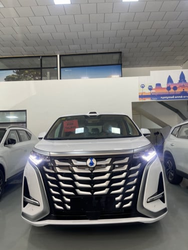 Denza D9 AWD half-full model 2026