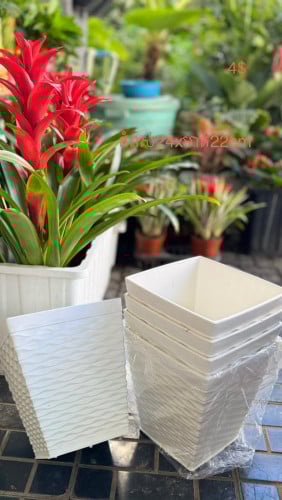 🪴ផើងផ្កាជ័រ មានច្រើនម៊ូត ច្រើនទំហំ