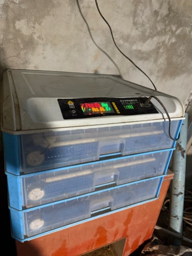 ទូរផ្ញាស់300ពង១ទឹក99%