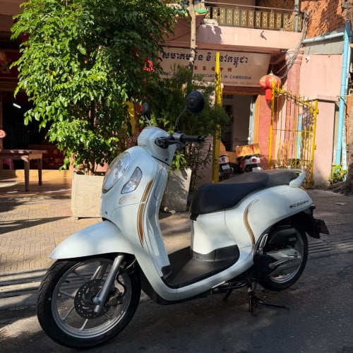 Honda Scoopy