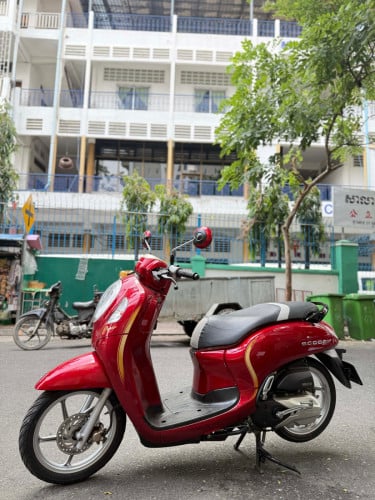 Honda Scoopy